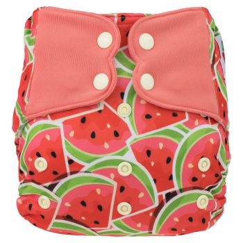 Y65 Cartoon Watermelon Pattern Cloth Diapers and Accessories